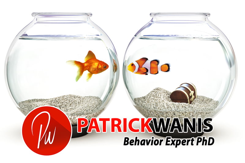 One question that transforms relationships - Patrick Wanis