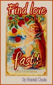 Take the test - 5 languages of love. Click on the image for Patrick Wanis' book "Find Love Fast"