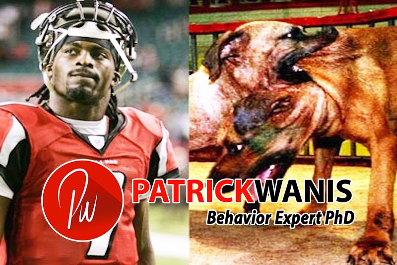 Michael Vick and The O.J. Effect